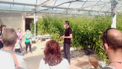 Agritourism workshops in Falces